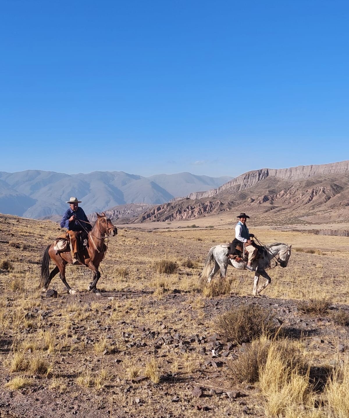 arrieros trekking